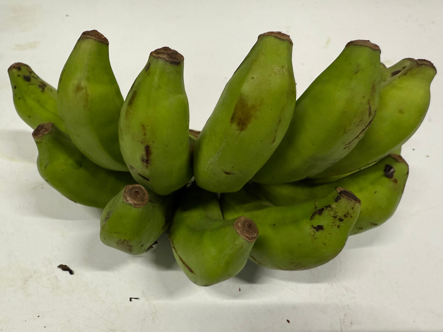 Elaichi Banana ~500g