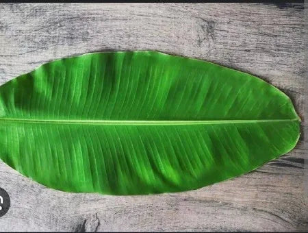 Fresh Banana leaves (Green)