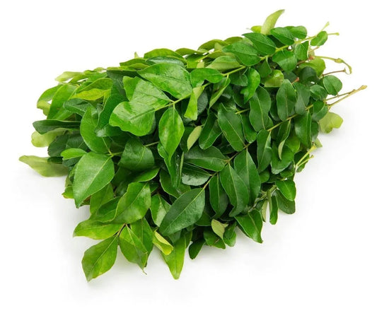 Fresh Curry Leaves (ONLY Leaves, NO STEMs)